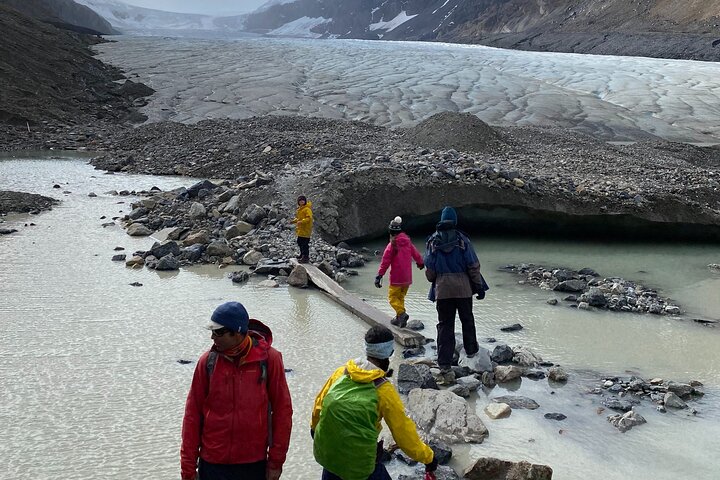 Guided Glacier Hike on The Athabasca with IceWalks