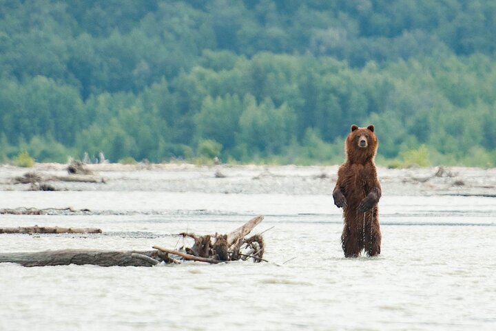 Private Group Eagle Preserve Float Trip in Haines