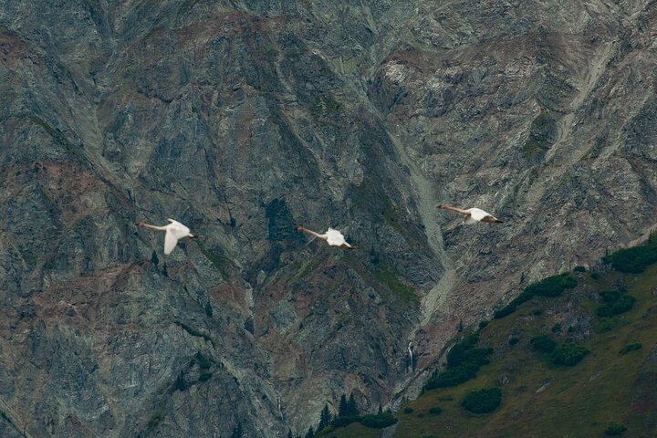 Private Group Eagle Preserve Float Trip in Haines