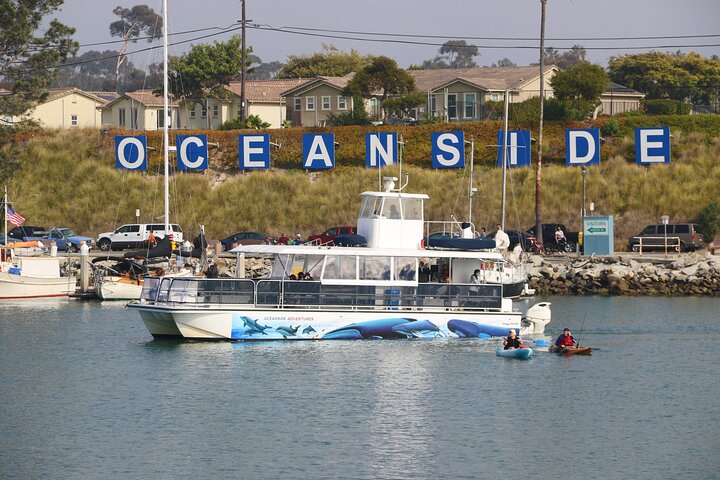 Two-Hour Luxury Whale Watching Tour from Oceanside