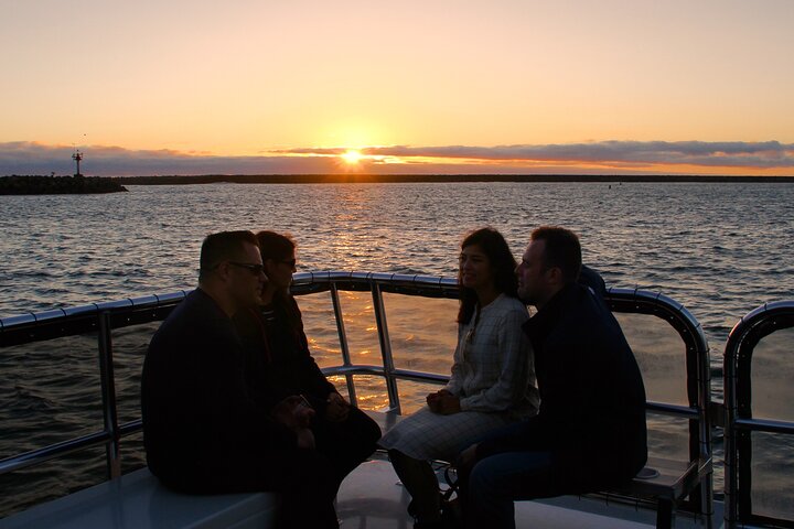 Two-Hour Luxury Whale Watching Tour from Oceanside