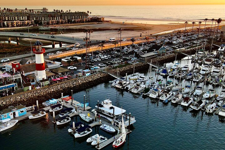 Two-Hour Luxury Whale Watching Tour from Oceanside