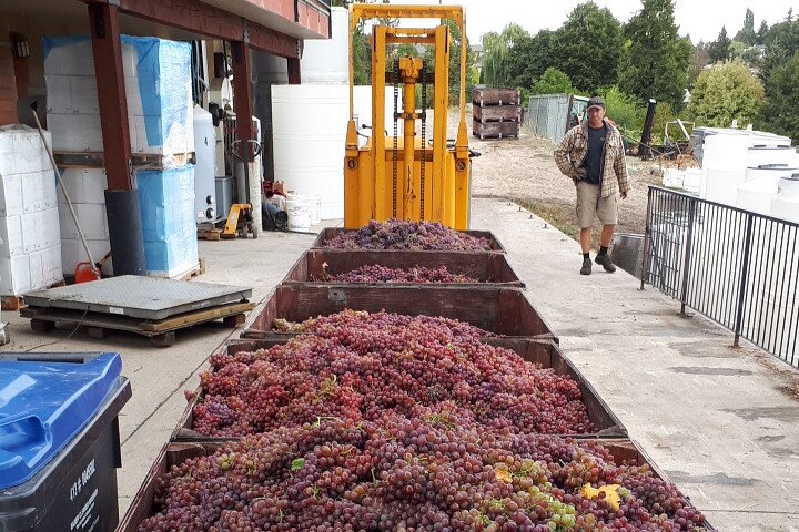 Kelowna or West Kelowna Afternoon Sightseeing Wine Tour