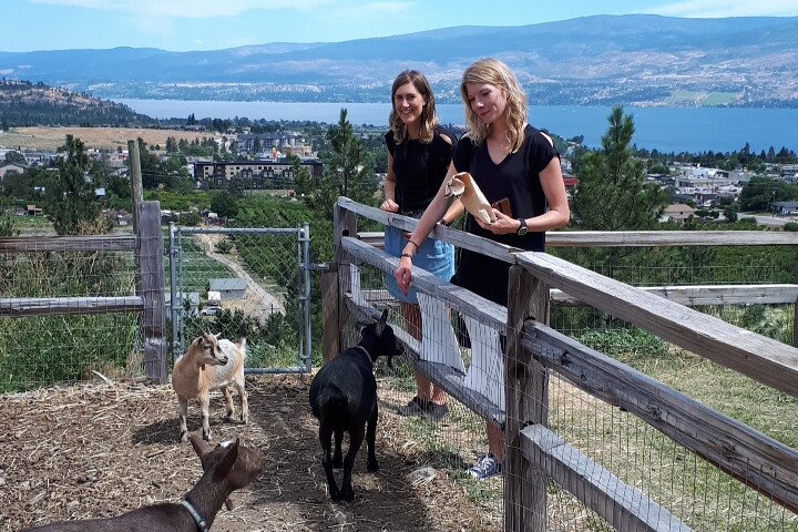 Kelowna or West Kelowna Afternoon Sightseeing Wine Tour