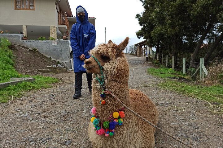 Cultural Tour Ingapirca Ruins + Gualaceo & Chordeleg from Cuenca