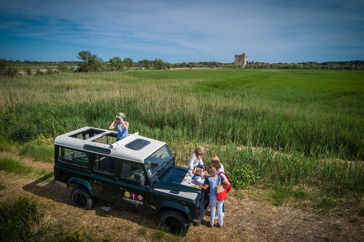 3.5 Hour Camargue 4x4 Safari from Le Grau-du Roi