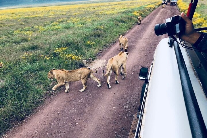 3 Days Maasai Mara Guided Safari from Nairobi