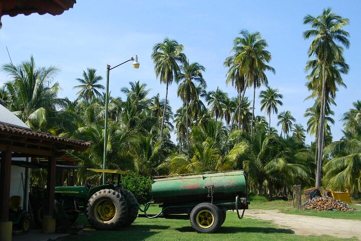 Country Side tour