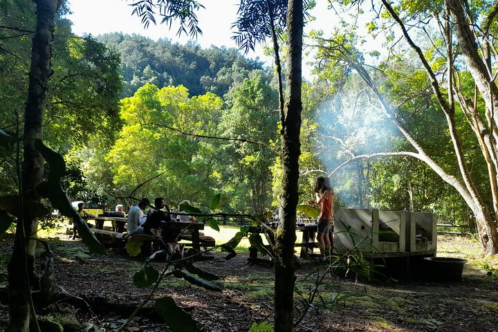 Scooter Tours through Tsitsikamma National Park