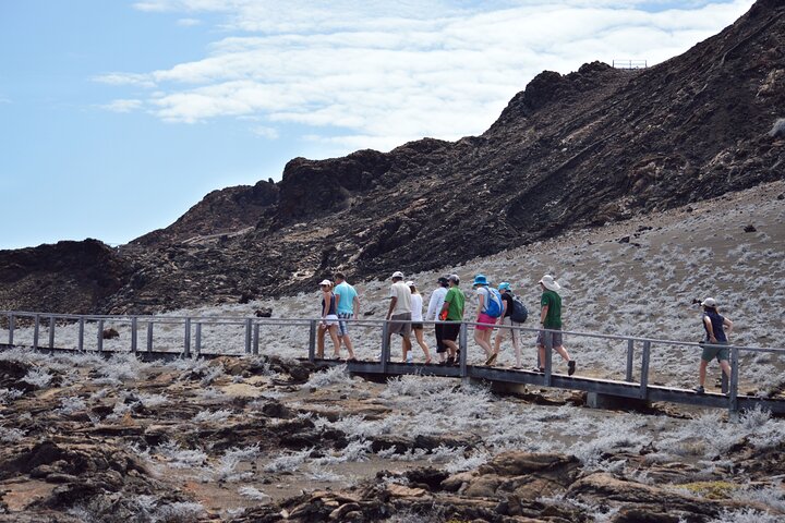 4-Day Wildlife Tour in Santa Cruz Island