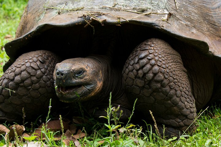 4-Day Wildlife Tour in Santa Cruz Island
