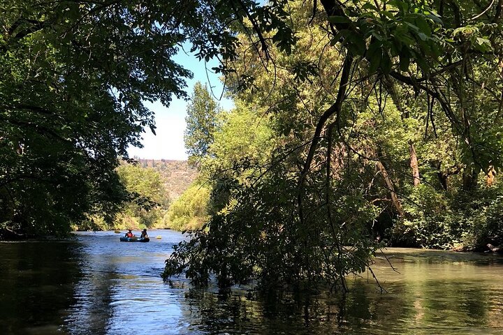 Rogue River Family Float & Discovery Park-Rafting and Kayaking