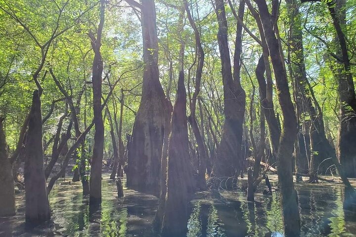 Kayak River Tour to a Private Island