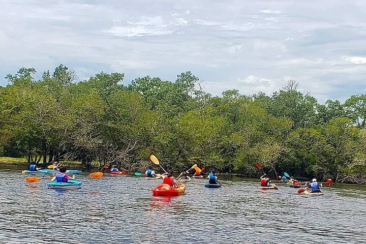 Kayak River Tour to a Private Island