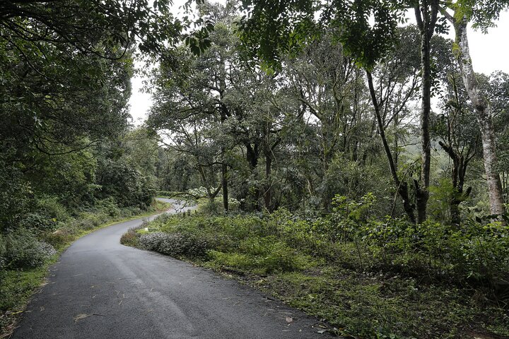 Private Coorg Cycling Tour
