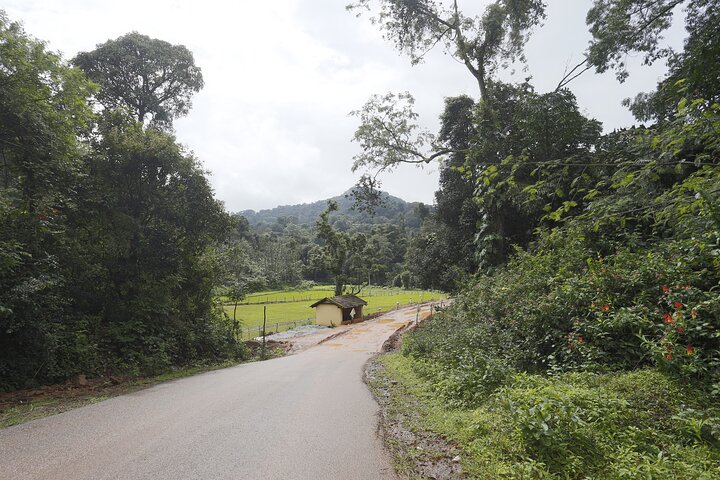 Private Coorg Cycling Tour
