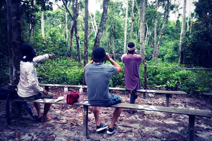 2Ns Orangutan Kelotok Tour in Tanjung Puting Kalimantan - Borneo