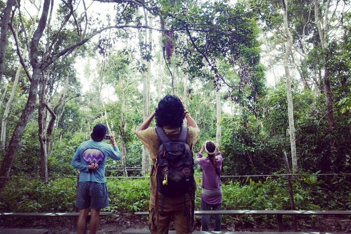 3ns Private Orangutan and Bornean Primates Kelotok Tour