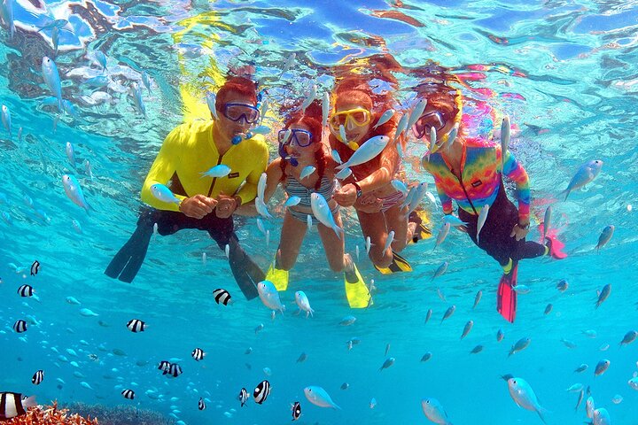 Eco Snokeling in Piti Bay Marine