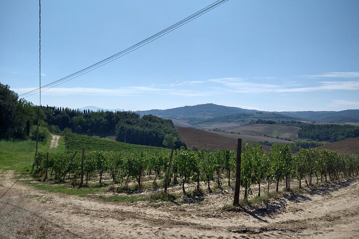 Montalcino: Brunello Wine Tasting & Lunch in a Tuscan Castle