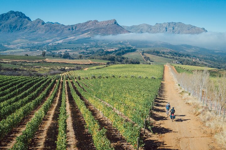 Franschhoek Sip & Cycle Experience Half Day - Private Tour