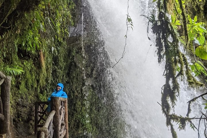 Poas Volcano and La Paz Waterfall Gardens Private Tour