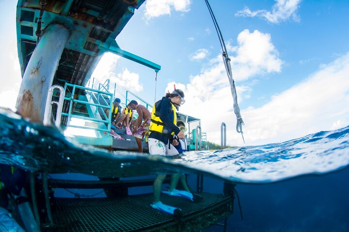 Eco Snokeling in Piti Bay Marine