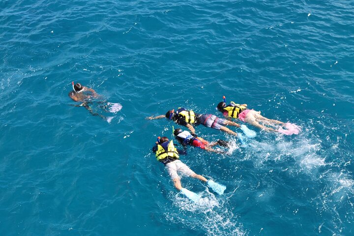 Eco Snokeling in Piti Bay Marine