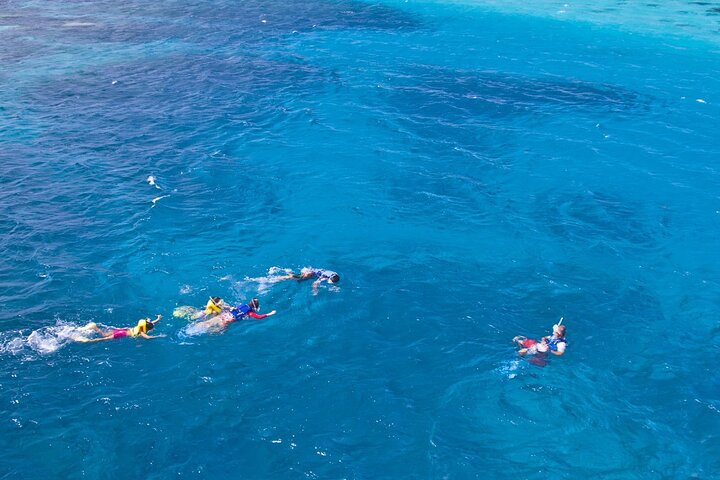 Eco Snokeling in Piti Bay Marine