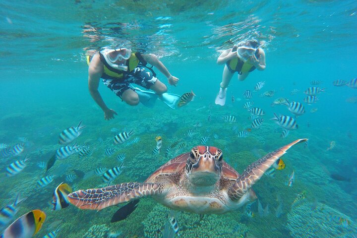 Eco Snokeling in Piti Bay Marine