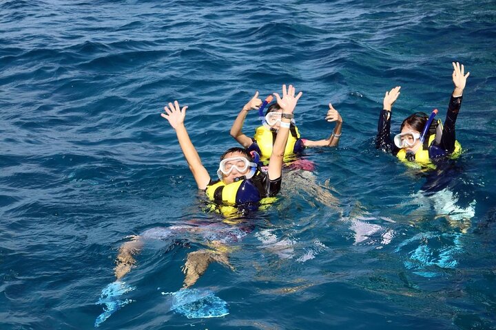 Eco Snokeling in Piti Bay Marine