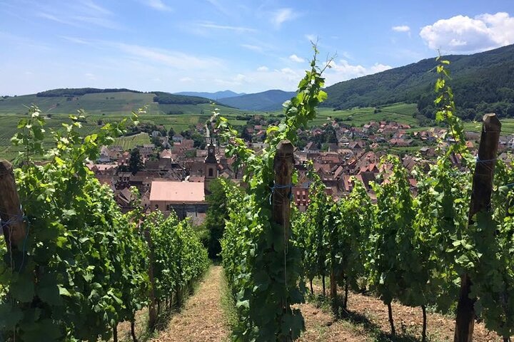 Alsace 4 Wonders Small-Group Day Trip from Colmar