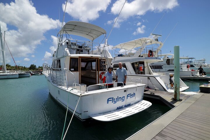 Dolphin Watching Cruise with Underwater Observatory Viewing