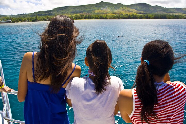 Dolphin Watching Cruise with Underwater Observatory Viewing