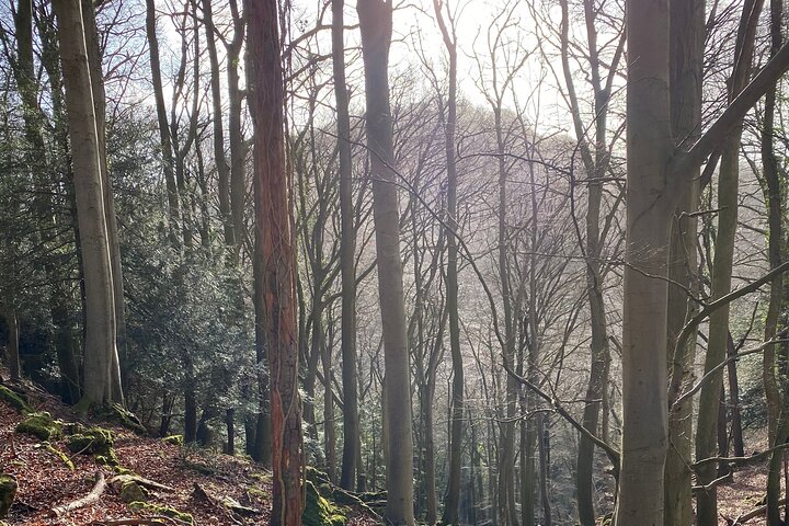 Private Guided Hike: King Arthur's Wye Valley Wander