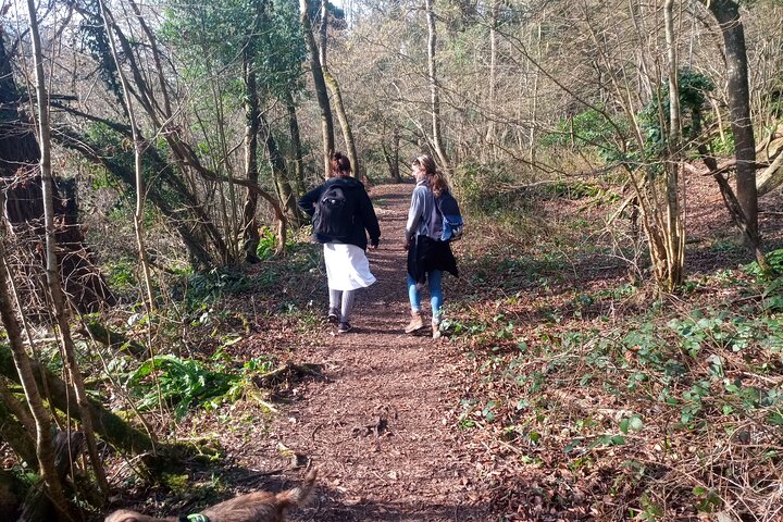 Private Guided Hike: King Arthur's Wye Valley Wander