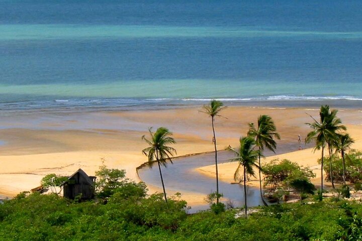 Full Day Tour in Trancoso with Chocolate Factory