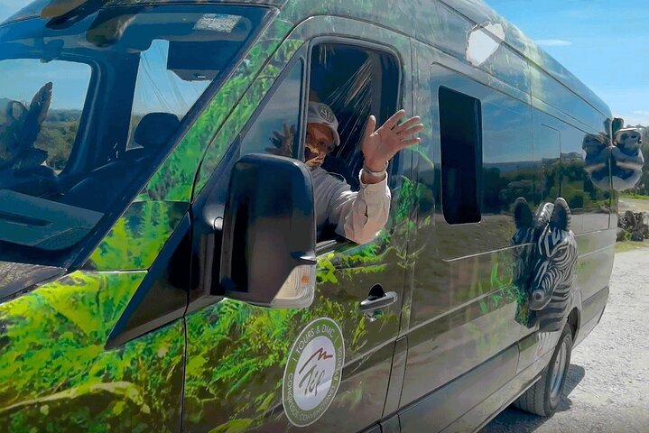 Africam Safari Zoo Admission with Transportation