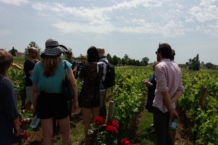 Saint Emilion Wine Tour Tasting Half Day from Bordeaux