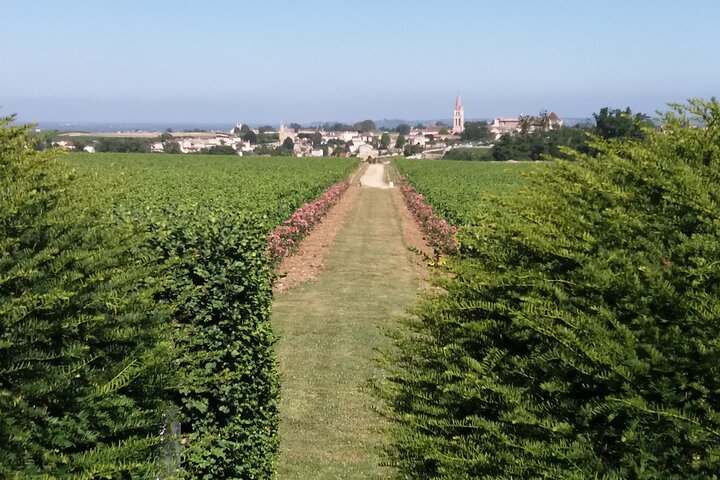 Saint Emilion Wine Tour Tasting Half Day from Bordeaux