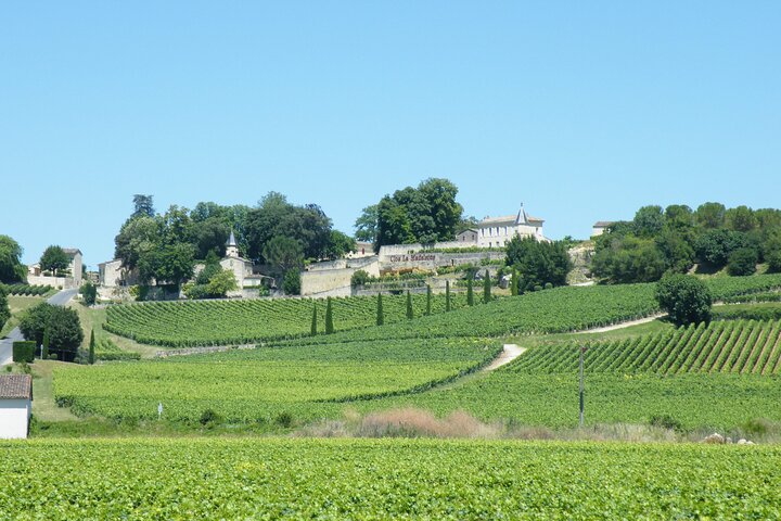Saint Emilion Wine Tour Tasting Half Day from Bordeaux