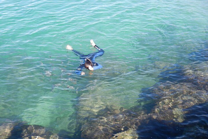 Gold Coast Kayaking & Snorkelling Tour (2.5 Hours)