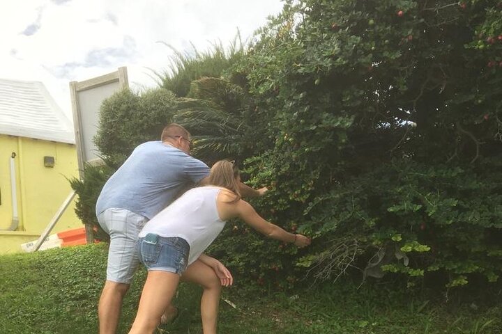 The Bermuda Tea and Tales Experience
