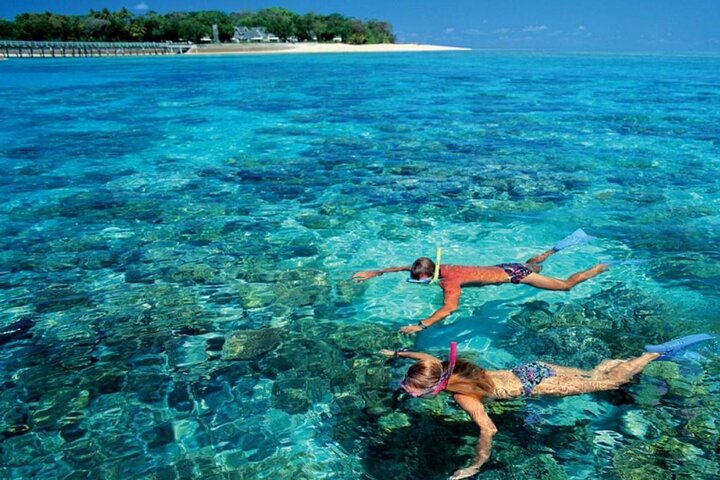 Full Relaxing Day To The Red Sea From Cairo Or Giza Hotel