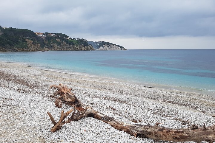 Portoferraio Walking Tour with Guide 2 Hours