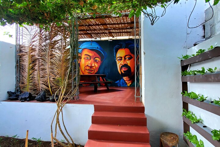 Discover the Sobrados of São Filipe