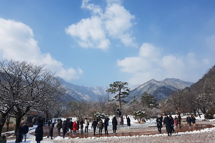 Mt. Seoraksan National Park Scenic Journey