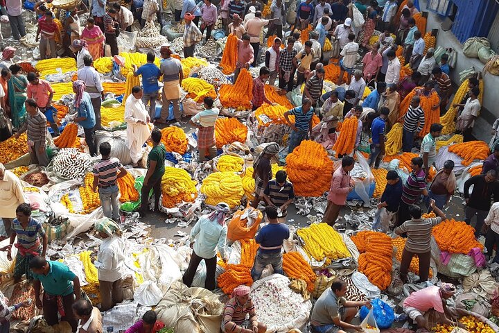 Private Kolkata Tour: Half & Full Day Options