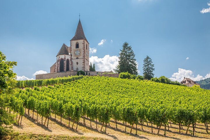 Alsace Full Day Wine Tour from Colmar
