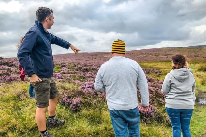 Private "All Creatures Great and Small" Yorkshire Dales Tour from Harrogate